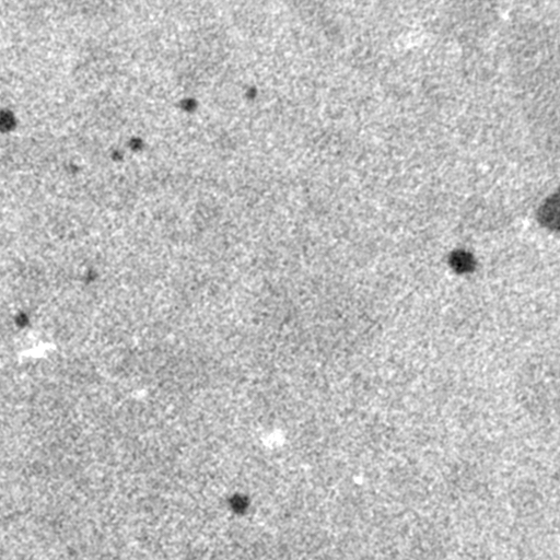 Sample concrete CT scan 1