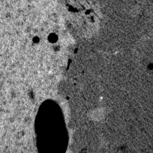 Sample concrete CT scan 3