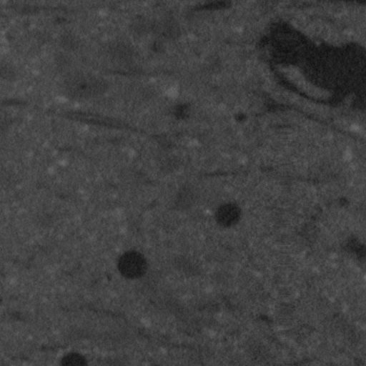 Sample concrete CT scan 4